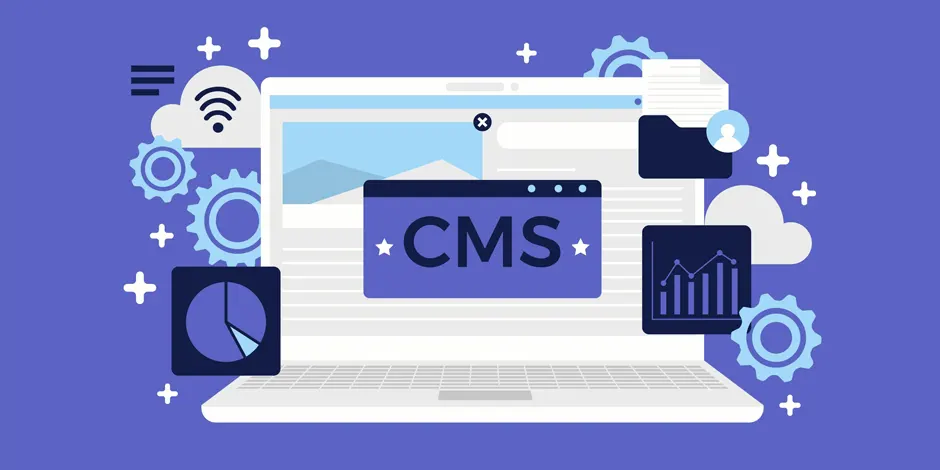 CMS Website Development