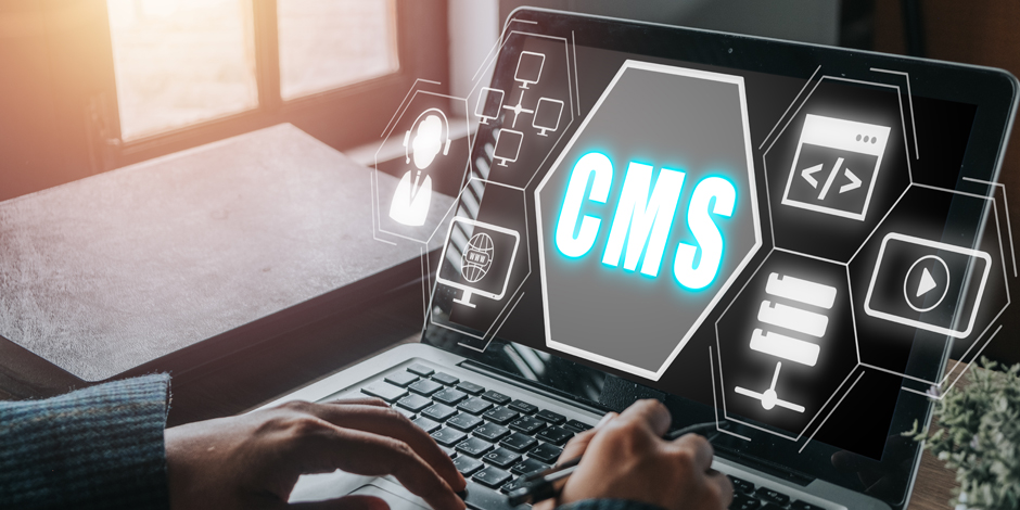 CMS Website Development