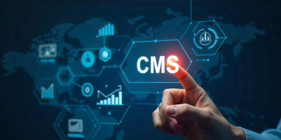 CMS Website Development 1