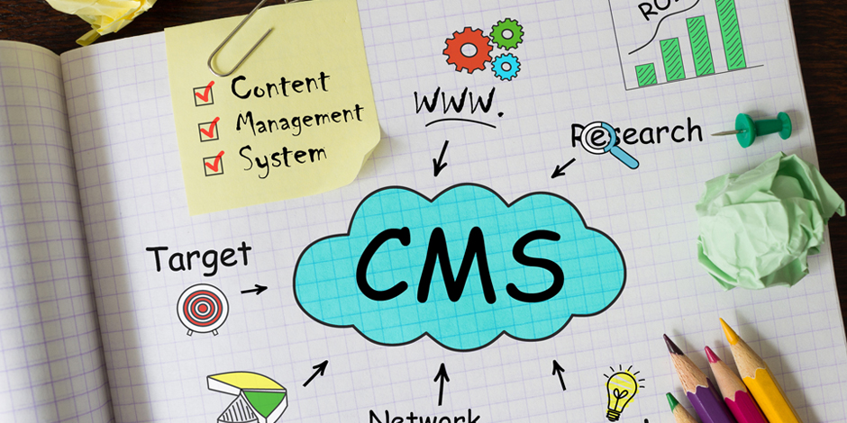 CMS Website Development Service
